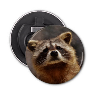 nieuwsgierig Raccoon Button Flesopener
