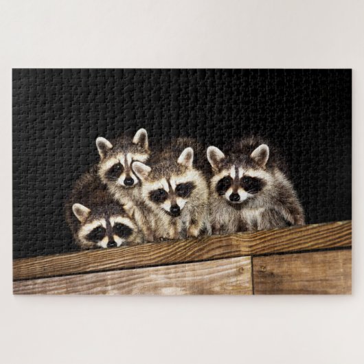 Nieuwsgierig Raccoon Familie, Jigzaag Puzzle Legpuzzel (Horizontaal)