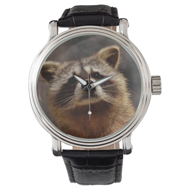 nieuwsgierig Raccoon Horloge (Voorkant)