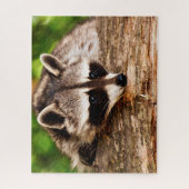 Nieuwsgierig Raccoon, Jigzaag Puzzle Legpuzzel (Verticaal)