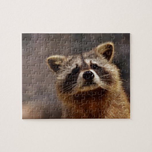 nieuwsgierig Raccoon Legpuzzel (Horizontaal)