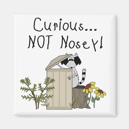 nieuwsgierig Raccoon Magneet (Voorkant)