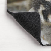 Nieuwsgierig Raccoon - Mousepad Muismat (Hoek)