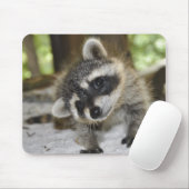 Nieuwsgierig Raccoon - Mousepad Muismat (Met muis)