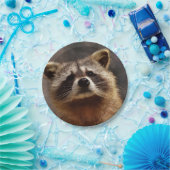nieuwsgierig Raccoon Papieren Bordje (Feest)