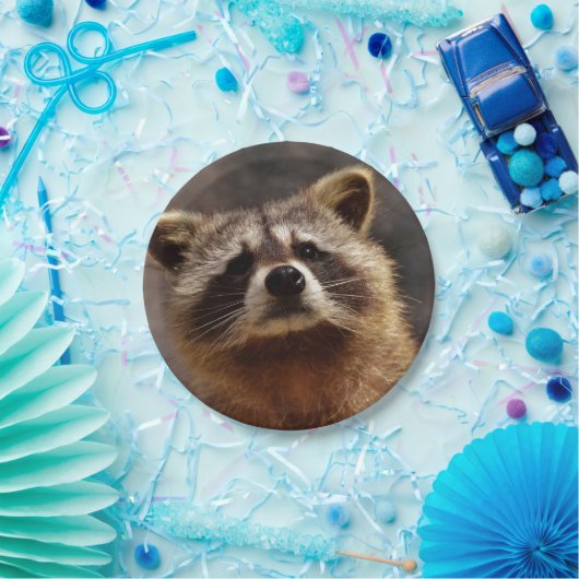 nieuwsgierig Raccoon Papieren Bordje (Feest)