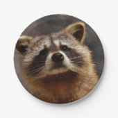 nieuwsgierig Raccoon Papieren Bordje (Voorkant)