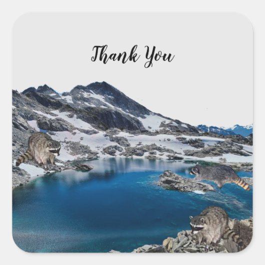 Nieuwsgierig Raccoons Square Sticker (Voorkant)