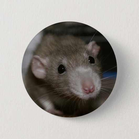 nieuwsgierig ronde button 5,7 cm (Voorkant)