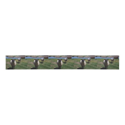 Nieuwsgierig schaap grosgrain lint (Voorkant)