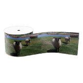 Nieuwsgierig schaap grosgrain lint (Spoel)
