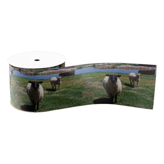 Nieuwsgierig schaap grosgrain lint (Spoel)