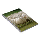 Nieuwsgierig schaap notitieboek (Rechterzijde)