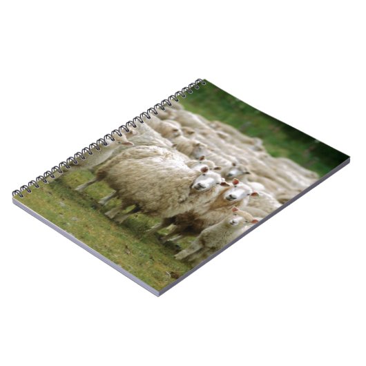 Nieuwsgierig schaap notitieboek (Linkerzijde)
