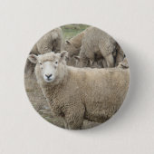Nieuwsgierig schaap ronde button 5,7 cm (Voorkant)