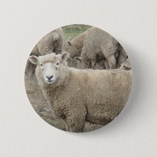 Nieuwsgierig schaap ronde button 5,7 cm (Voorkant)