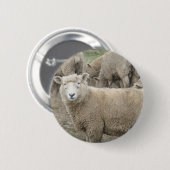 Nieuwsgierig schaap ronde button 5,7 cm (Voorkant /achterkant)