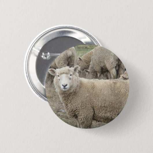 Nieuwsgierig schaap ronde button 5,7 cm (Voorkant /achterkant)