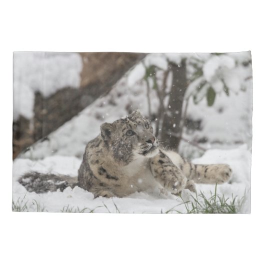 Nieuwsgierig sneeuwblaasje kussensloop (Achterkant)