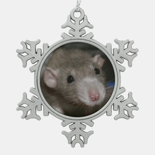 nieuwsgierig tin sneeuwvlok ornament (Voorkant)
