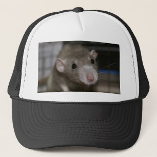 nieuwsgierig trucker pet