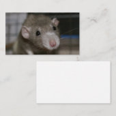 nieuwsgierig visitekaartje (Voorkant / Achterkant)