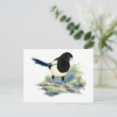 Nieuwsgierig Waterverf Magpie Bird Art Briefkaart (Staand voorkant)