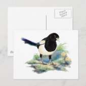 Nieuwsgierig Waterverf Magpie Bird Art Briefkaart (Voorkant / Achterkant)