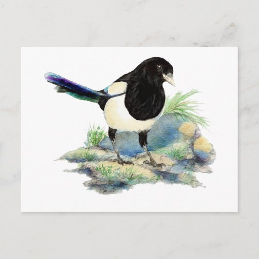 Nieuwsgierig Waterverf Magpie Bird Art Briefkaart (Voorkant)