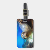 Nieuwsgierig zee leeuw onder water Galapagos parad Bagagelabel (Voorkant verticaal)