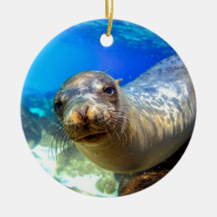Nieuwsgierig zee leeuw onder water Galapagos parad Keramisch Ornament