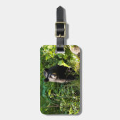 Nieuwsgierig zwart Beer Bagagelabel (Voorkant verticaal)