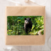 Nieuwsgierig zwart Beer Etiket (Insitu)