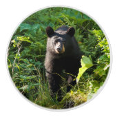 Nieuwsgierig zwart Beer Keramische Knop (Voorkant)