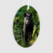 Nieuwsgierig zwart Beer Ornament (voorkant)