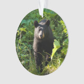 Nieuwsgierig zwart Beer Ornament (voorkant)