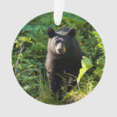 Nieuwsgierig zwart Beer Ornament (voorkant)