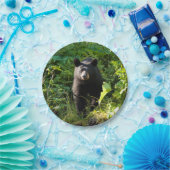 Nieuwsgierig zwart Beer Papieren Bordje (Feest)