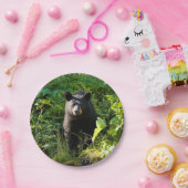 Nieuwsgierig zwart Beer Papieren Bordje (Feest)