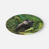 Nieuwsgierig zwart Beer Papieren Bordje (Gekanteld)