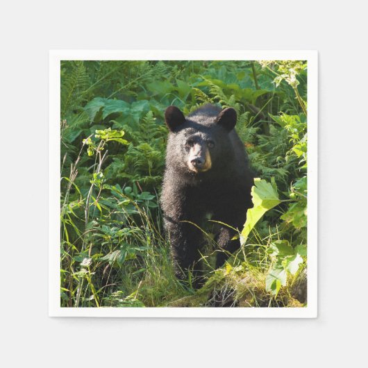 Nieuwsgierig zwart Beer Servet (Voorkant)