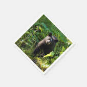 Nieuwsgierig zwart Beer Servet (Hoek)