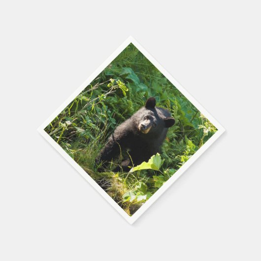 Nieuwsgierig zwart Beer Servet (Hoek)