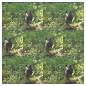 Nieuwsgierig zwart Beer Stof (Swatch)