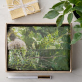 Nieuwsgierig zwart Beer Tissuepapier (Geschenk)