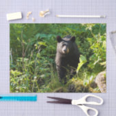 Nieuwsgierig zwart Beer Tissuepapier (Craft)