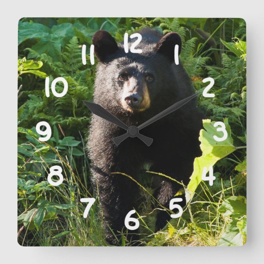 Nieuwsgierig zwart Beer Vierkante Klok (Voorkant)