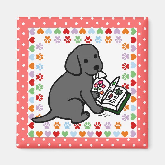 Nieuwsgierig zwart labrador puppy magneet (Voorkant)