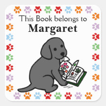 Nieuwsgierig zwart labrador puppy