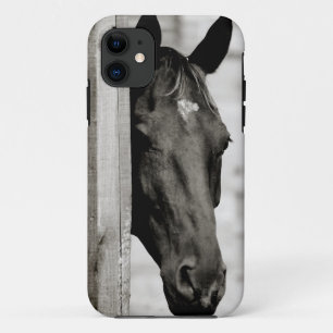 Nieuwsgierig zwart paard iPhone 11 hoesje